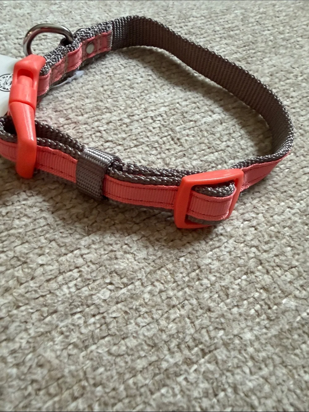 NWT Martha Stewart Grey Nylon Dog Collar with Coral Buckle